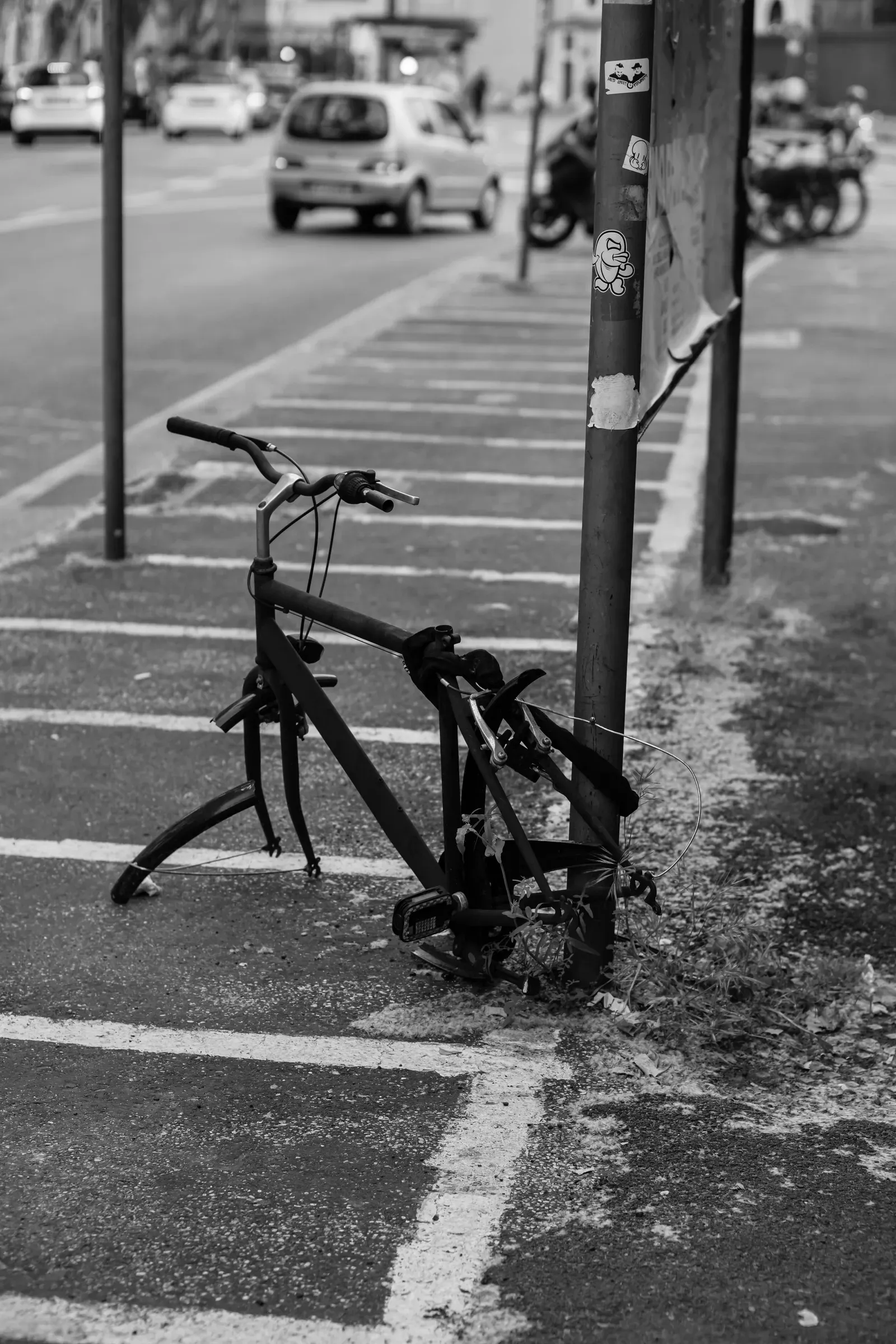 Cyclist traveling in a marked bicycle lane